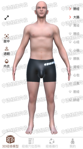 中济经络穴位ios版
