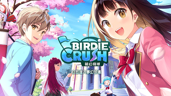 BirdieCrush安装器