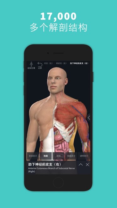 Complete Anatomy2022苹果版