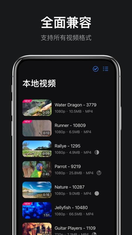 rPlayer-VR播放器