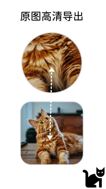 小猫边框 小猫边框
